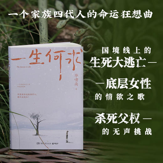 一生何求 商品图1