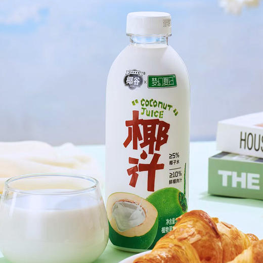 椰谷 梦幻夏日椰汁精品系列 （植物蛋白饮料） 750g×8瓶 冲调饮料 商品图1