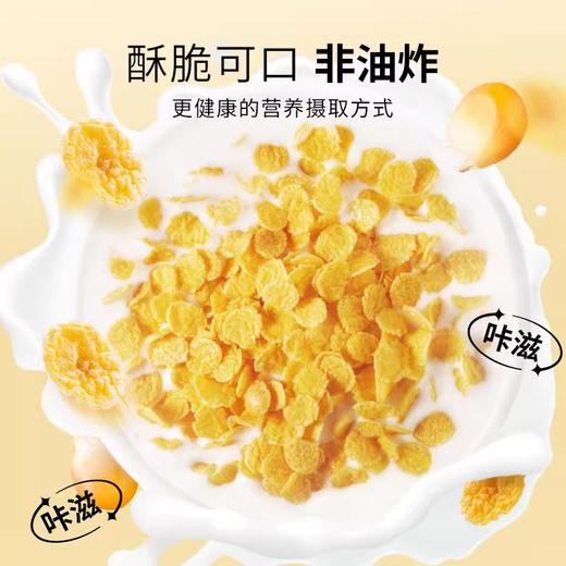爱杂杂玉米片220g低脂低钠即食冲饮麦片非油炸健康早餐代餐儿童麦片 商品图3