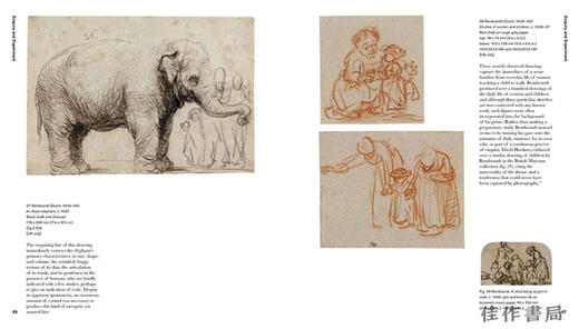 Lines of Thought: Drawing from Michelangelo to Now / 思想的路线：米开朗琪罗以来的素描 商品图4