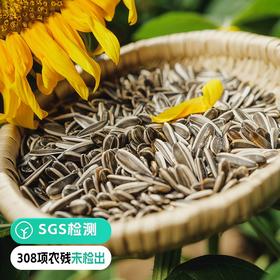 通过308项检测 0添加 地标*非遗 葵瓜子】五代匠心传承 自治区级非遗传承炒货 产自敖汉旗黄金种植地