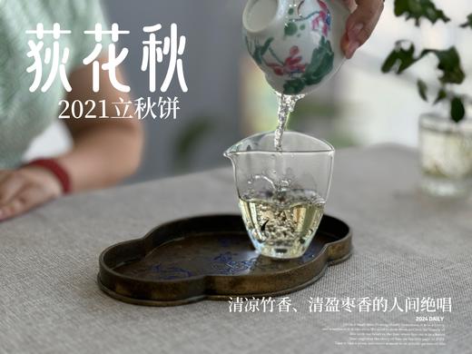 【好茶福利】2021迎秋寿眉饼《荻花秋》，清凉竹香、清盈枣香的人间绝唱(1饼装)！ 商品图11