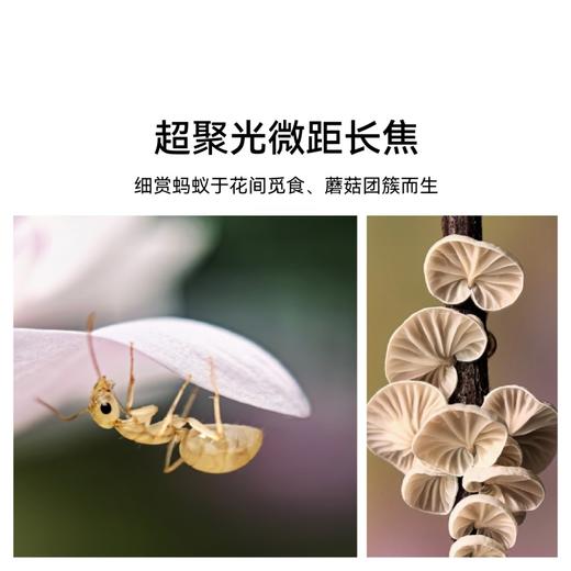 （已减300元）华为 Pura 70 Pro 商品图4