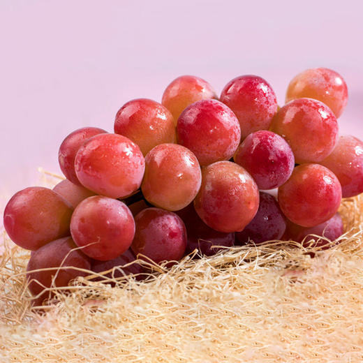 【自营】云南妮娜皇后【顺丰/京东】2斤礼盒装(约8~12g) 商品图6