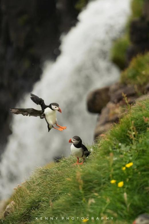 【2026】法罗群岛--遗留在世间的仙境，北大西洋秘境10天摄影团 商品图1