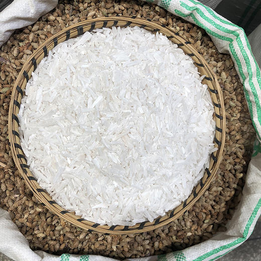 石膏 商品图0