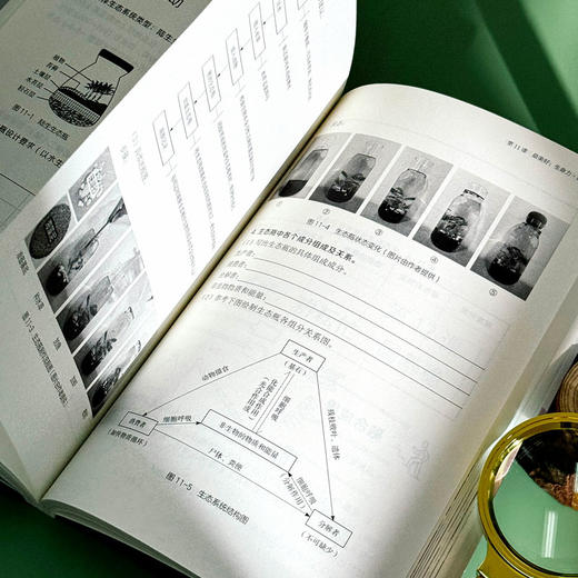 学科融合 基于学科的劳动教育 高中劳动教育系列丛书 商品图13