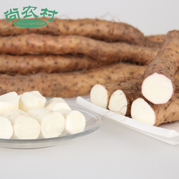 河南铁棍山药5斤装（原产地发货）