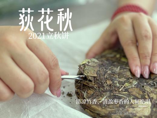 【好茶福利】2021迎秋寿眉饼《荻花秋》，清凉竹香、清盈枣香的人间绝唱(1饼装)！ 商品图5