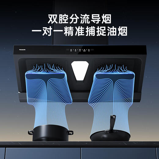 松下（Panasonic）松下（Panasonic)吸力烟机FV-A624QT2K 商品图1