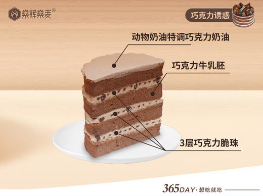 动物奶油 巧克力诱惑蛋糕 [6~8英寸 3~8人食用] 商品图1