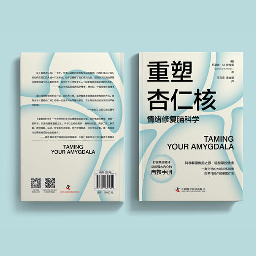 《重塑杏仁核:情绪修复脑科学》 商品图9