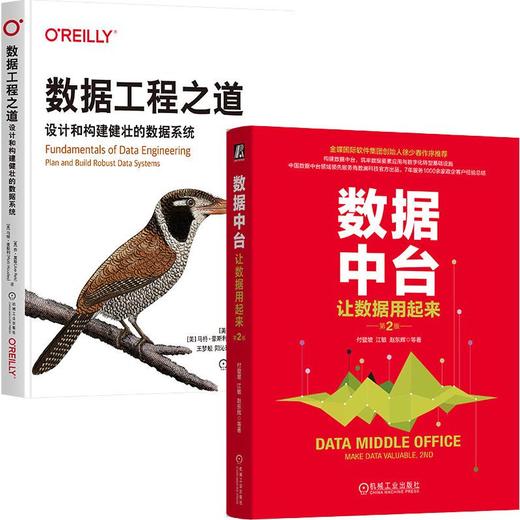 数据中台+数据工程+数据系统,设计和构建健壮的数据管理系统必读(全2册) 商品图0