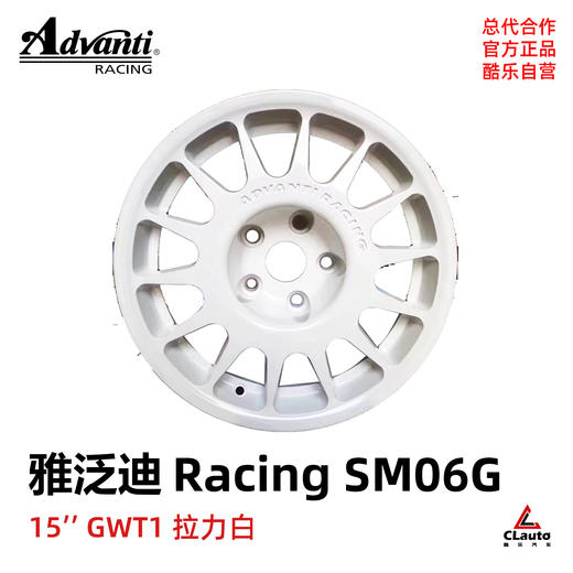 雅泛迪 ADVANTI Racing SM06G 拉力圈 15寸 7J  5*114.3  ET35 商品图0