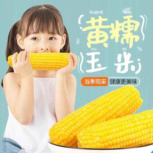 燕之坊 黄糯玉米220g*10支 即食新鲜营养早餐 商品图2
