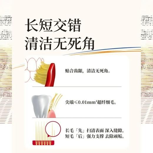 【保税区包邮直发】惠百施牙刷6列48孔宽头牙刷洁净软毛3只装 商品图3