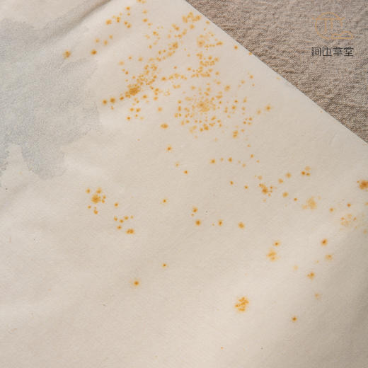 70年代朵云轩木版水印四尺对开大画笺(菊) 商品图8