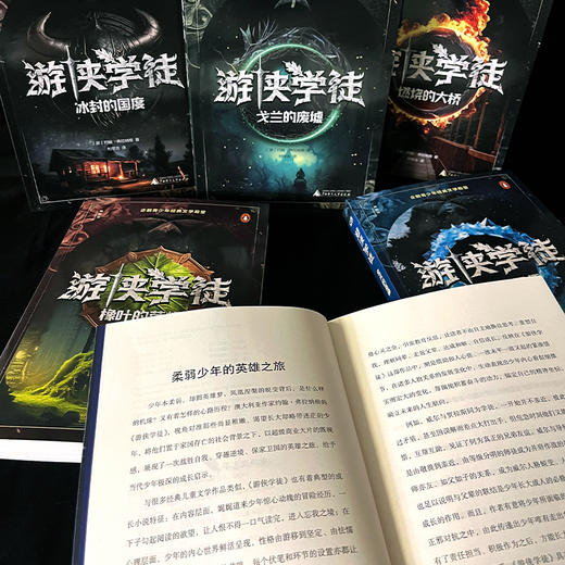 神秘岛· 游侠学徒（全6册） 10-14岁 商品图7