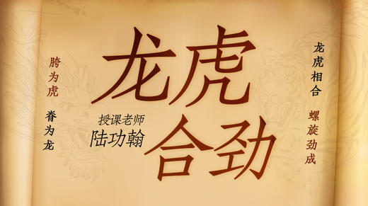 【龙虎合劲】自学课程 商品图0