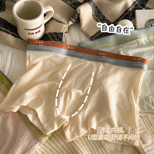 男士内裤男 纯棉全棉抗菌 四角大码中腰男生短裤平角款裤衩男式学生内裤 商品图1