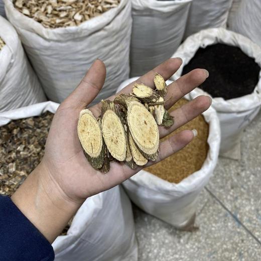 锅铲藤 半截叶 商品图4