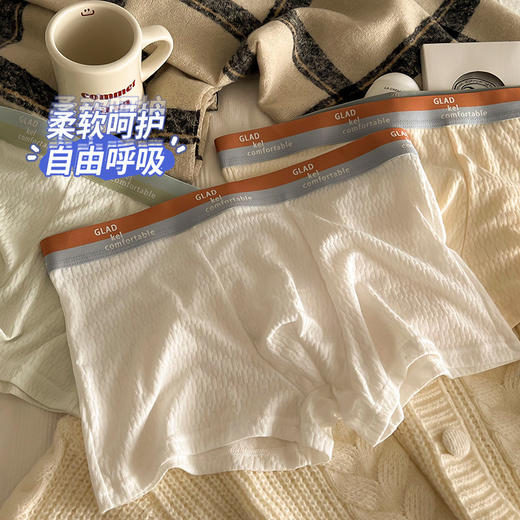 男士内裤男 纯棉全棉抗菌 四角大码中腰男生短裤平角款裤衩男式学生内裤 商品图3