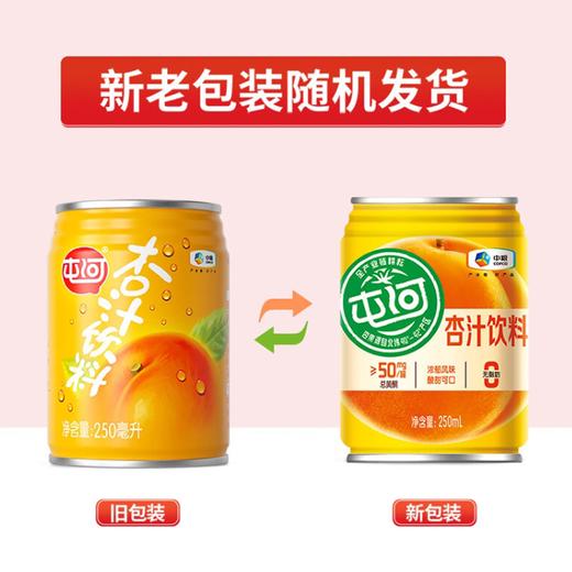 【特惠62.9】中粮屯河杏汁礼盒250ml*10【保质期至2026-08-27
】-专享价 商品图3