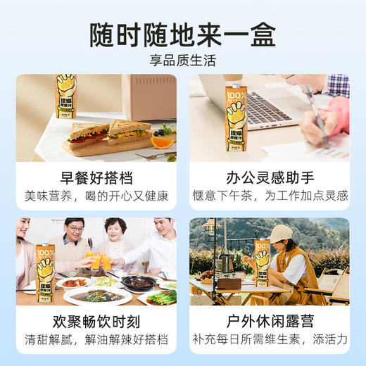 哪吒捏爆百分百100%纯果汁饮料1L大瓶 0脂 无添加饮品 补充维C饮料 商品图7