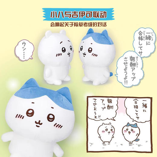 万代 Bandai 吉伊卡哇发声毛绒玩偶 Chiikawa Hachiware小八吉伊乌萨奇 商品图7