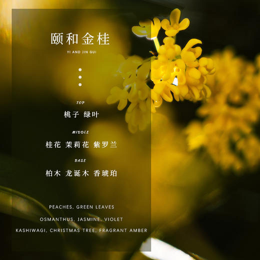 【颐和金桂香薰石膏片】车载衣柜挂件 持续留香除异味 国风扩香衣橱香氛  商品图3