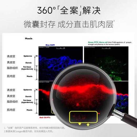 Dermaheal德玛莉 PTX肽能小白管眼霜肌活丰盈睛采眼霜局部霜15ml【该商品不支持用券】 商品图4