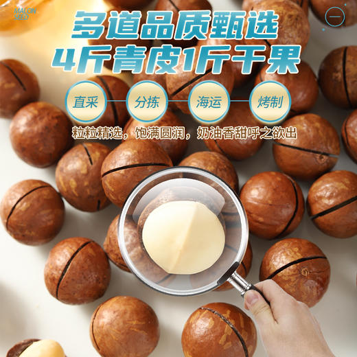 阿明 夏威夷果（罐）218g*2 商品图3