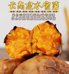 【云南建水红薯】 检测报告