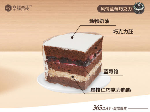 动物奶油 风情蓝莓巧克力蛋糕 [6~8英寸 3~8人食用] 商品图1