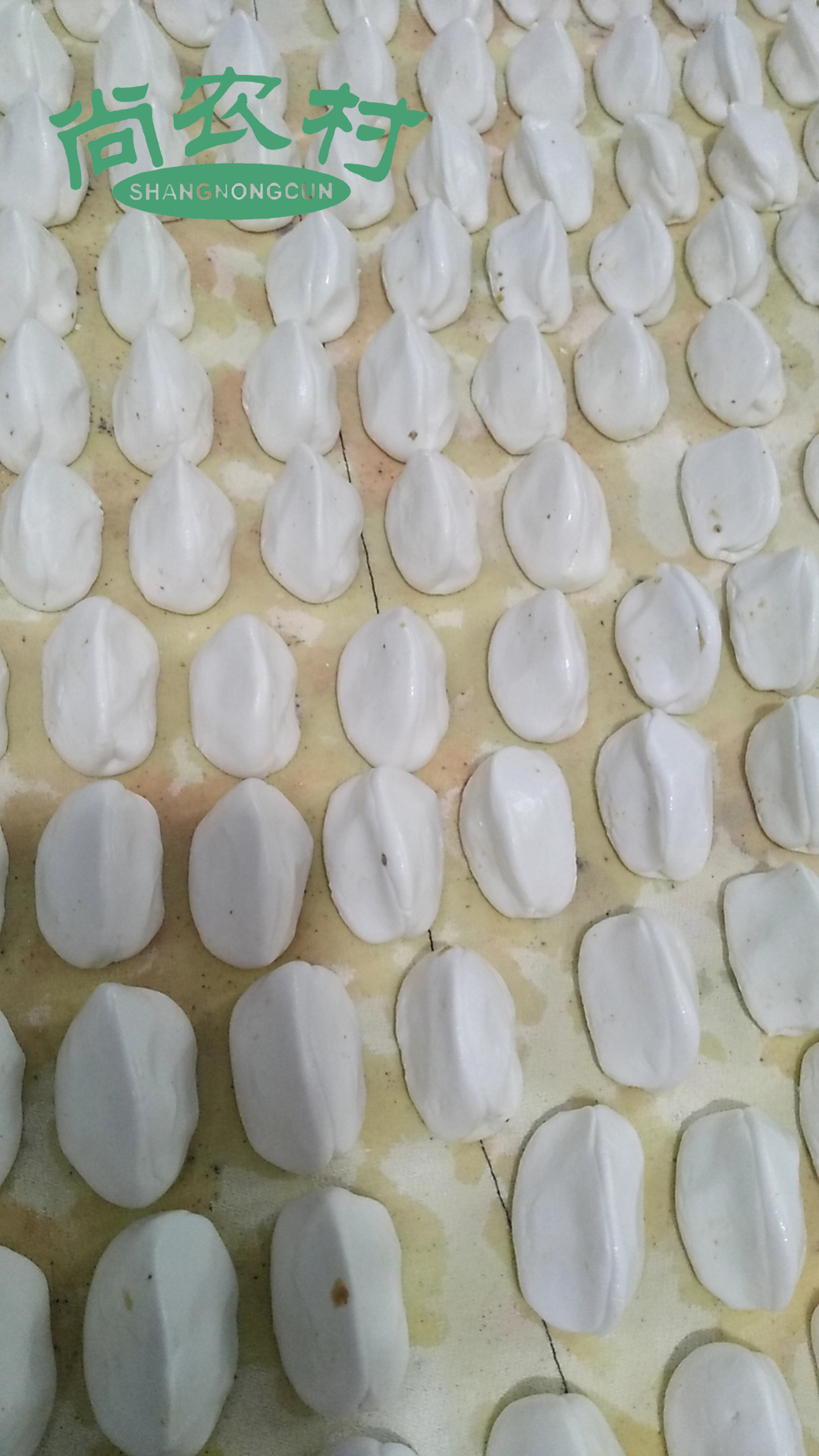 马站猪油饺汤圆饺饺子一份28元