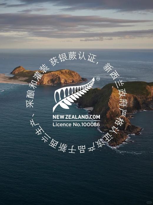 【初蜜蔻×第15届上海双年展】 MGO500+/UMF15+麦卢卡蜂蜜限定装 商品图5