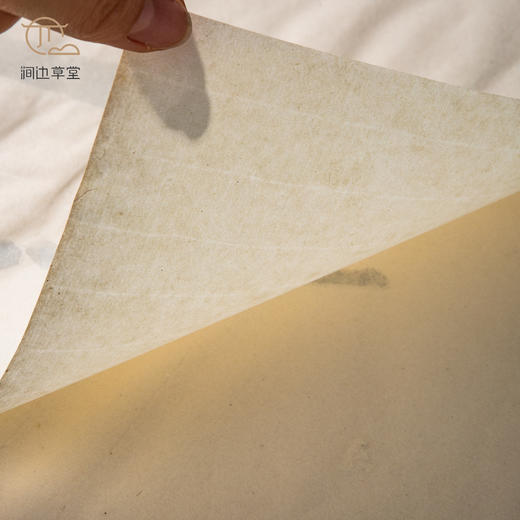 70年代朵云轩木版水印四尺对开大画笺(竹) 商品图6