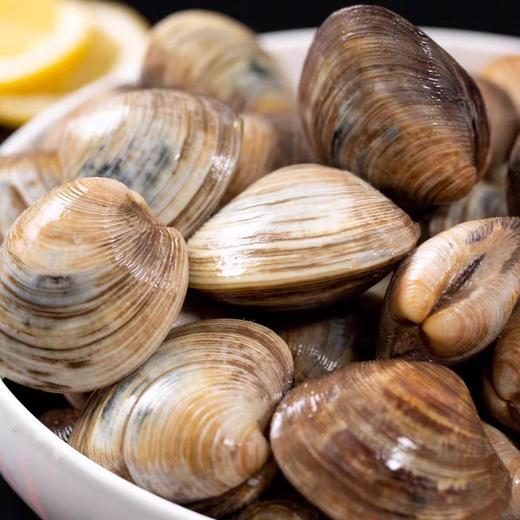 美贝螺 500g 商品图0