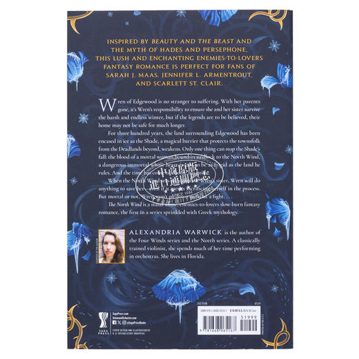 【中商原版】四向风系列1 北风 The North Wind 英文原版 A F Steadman 现代小说 国际流行小说 奇幻小说 商品图1