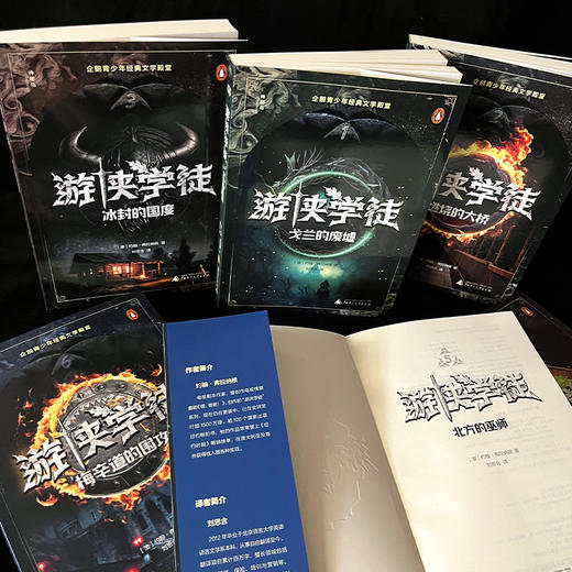 神秘岛· 游侠学徒（全6册） 10-14岁 商品图8