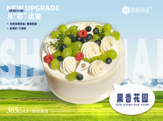 动物奶油 果香花园蛋糕 [8英寸 6~8人食用] 商品图0