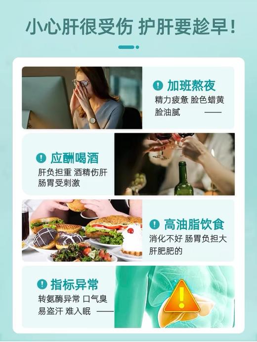 德国NA护肝片20粒/盒  胶囊水飞蓟净肝进口浓缩奶蓟草女性男士护肝熬夜喝酒 商品图6