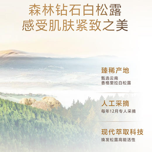 【常规】白松露-50g水密码白松露紧致抗皱精华霜 商品图2