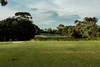 澳大利亚国家高尔夫俱乐部（长岛球场）The National Golf Club （The Long Island Course） | 澳大利亚高尔夫球场 俱乐部 | 墨尔本高尔夫  | 世界百佳 商品缩略图4