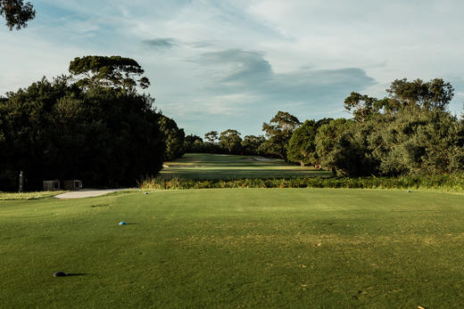 澳大利亚国家高尔夫俱乐部（长岛球场）The National Golf Club （The Long Island Course） | 澳大利亚高尔夫球场 俱乐部 | 墨尔本高尔夫  | 世界百佳 商品图4