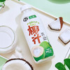 椰谷 梦幻夏日椰汁精品系列 （植物蛋白饮料） 750g×8瓶 冲调饮料 商品缩略图2