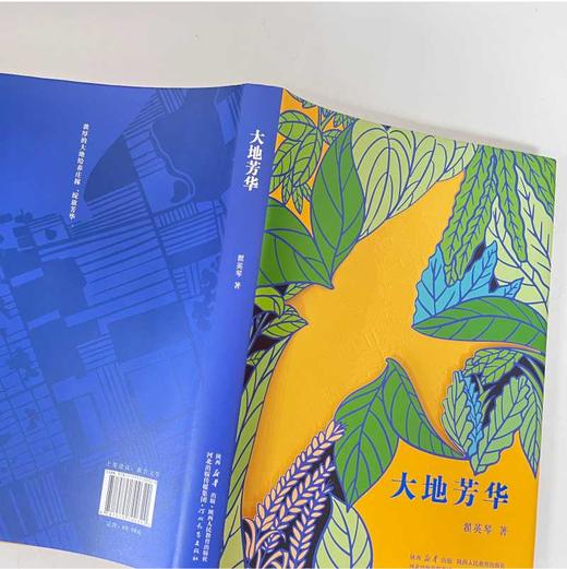 大地芳华 商品图1
