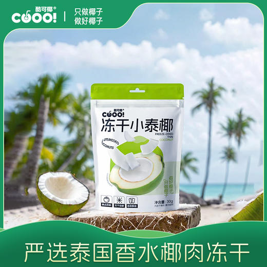 【鲜椰本味】酷可椰 冻干小泰椰 30g/袋  泰国国宝级香椰，1.5cm厚切；配料干净，非油炸，非膨化；冻干锁鲜 商品图0