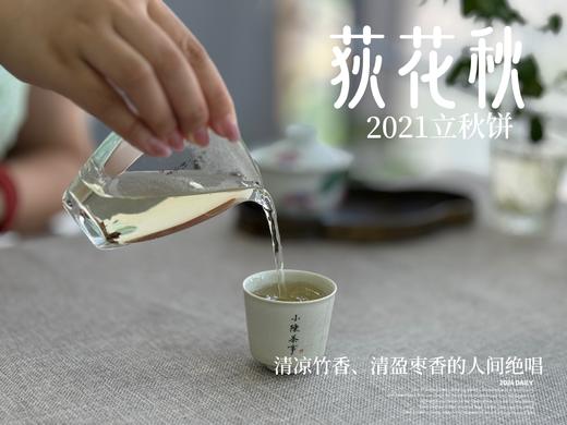 【好茶福利】2021迎秋寿眉饼《荻花秋》，清凉竹香、清盈枣香的人间绝唱(1饼装)！ 商品图13