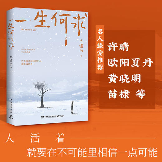 一生何求 商品图3